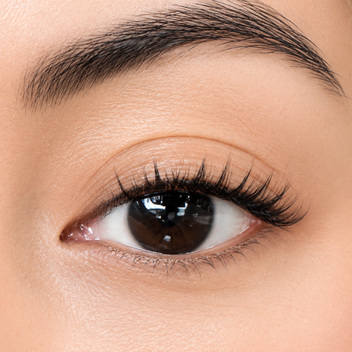 Extreme close-up of a human eye with long, curled black eyelashes and a defined dark eyebrow, showing detailed skin texture and makeup application.
